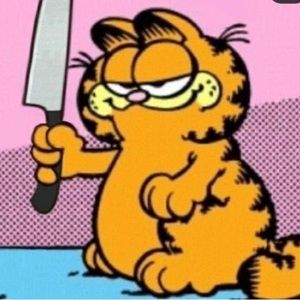 Meet your Posher, Ally